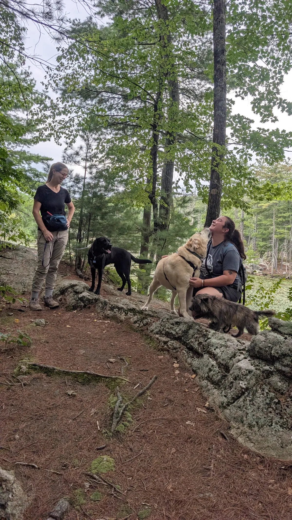 Two handlers and three dogs pausing on a rocky ledge above a pond