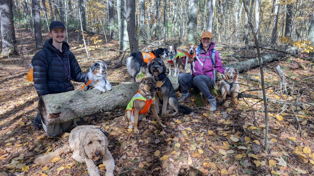 Two handlers seated on a log with dogs gathered around them in the woods.